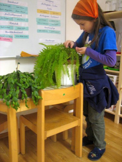 Biologie - Pflege der Zimmerpflanzen - Ziele: Sinnliches Erfahren von Pflanzen und Pflanzenteilen, Vielfalt und Bedürfnisse der Pflanzen wahrnehmen